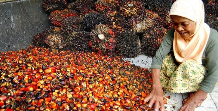 Harga CPO Mulai Masuki Trend Melemah