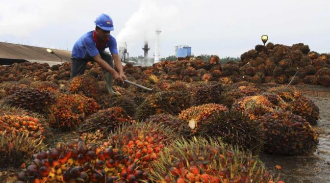 Jadi Perusahaan Holding Perkebunan, Nama PTPN III Bakal Berubah 