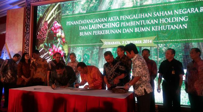 Holding BUMN Perkebunan dan Kehutanan Resmi Berdiri Usai 12 Tahun 