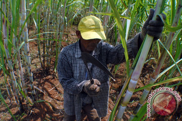 AGRI komitmen beri dana talangan petani tebu