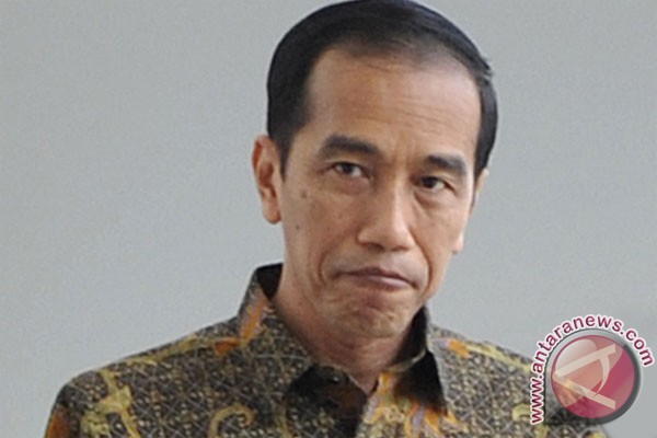 Presiden Jokowi rencanakan Rp1,2 triliun untuk rehabilitasi kebun kakao