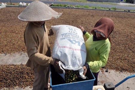 Produktivitas Naik, Produksi Kopi Di Jatim Capai 220 Ribu Ton