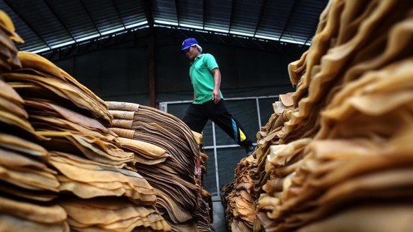 Adanya Resiko Terkait Bertahannya Harga Karet di Zona Hijau 