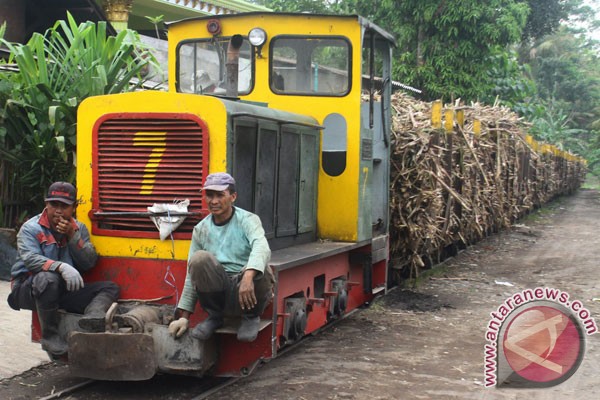 Pembangunan pabrik gula di Sultra terkendala lahan