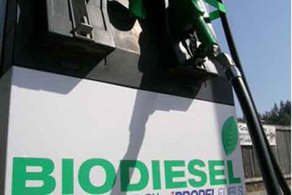 Hari Ini Analis Saham Bahas Subsidi Untuk Biodiesel