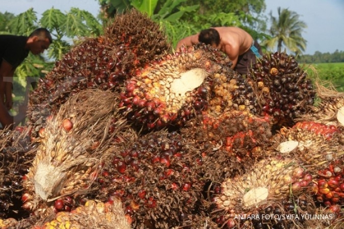 CPO melambung naik didukung pelemahan ringgit