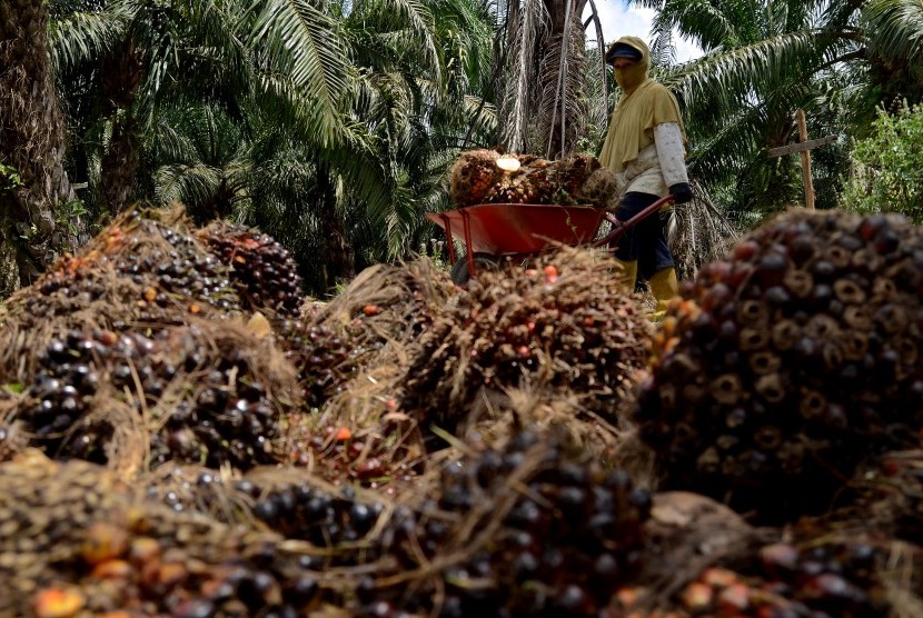 RI Lobi India Tekan Bea Masuk Sawit