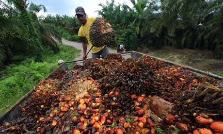 Holding PTPN akan Fokus ke Sawit dan Gula